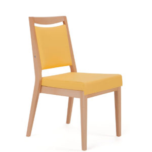 Aero care home dining chair - model 56-11/6
