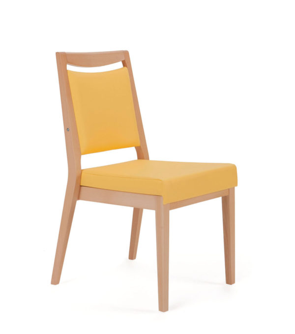Aero care home dining chair - model 56-11/6