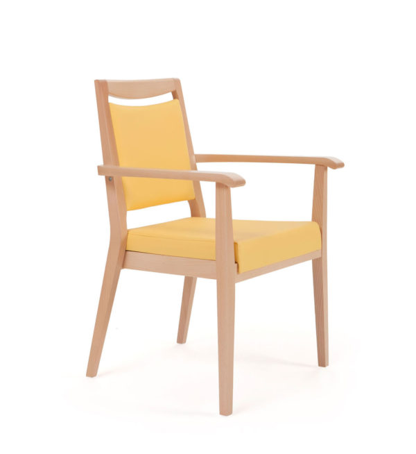 Aero care home dining chair with armrests - model 56-15/6